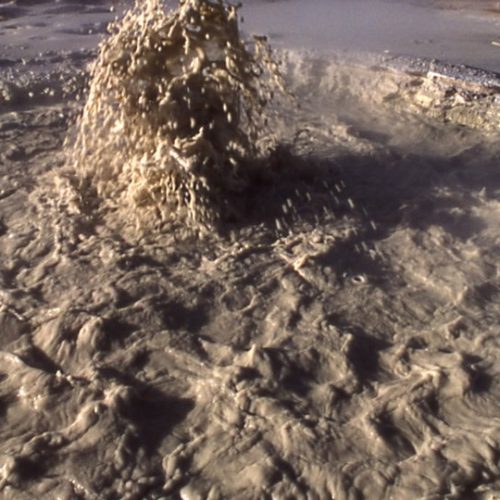Tag: Archaea - Ars Technica