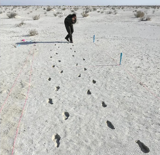 Radar reveals ghostly footprints at White Sands | Ars Technica