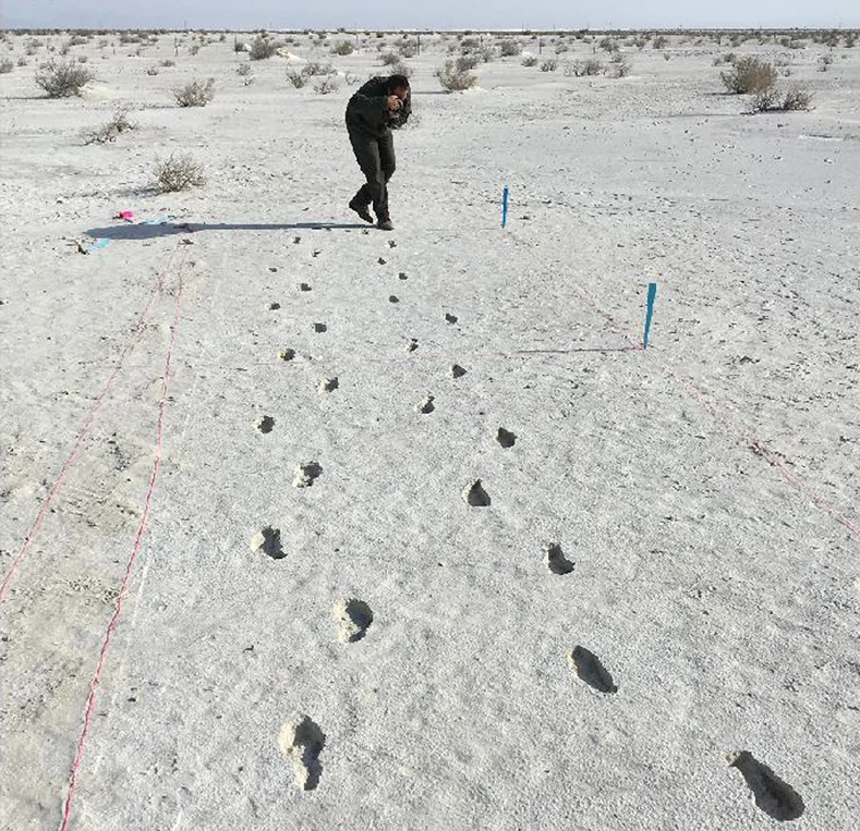 Radar reveals ghostly footprints at White Sands