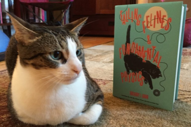 The surprisingly complicated physics of why cats always land on their ...