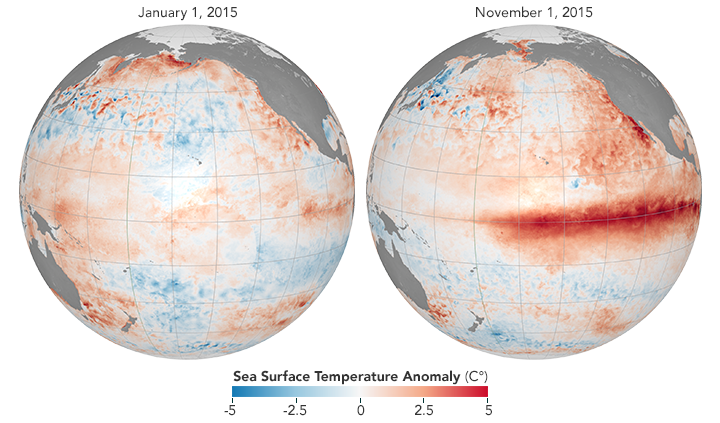 A strong El Niño developed in 2015, visible here from temperature departures from average.