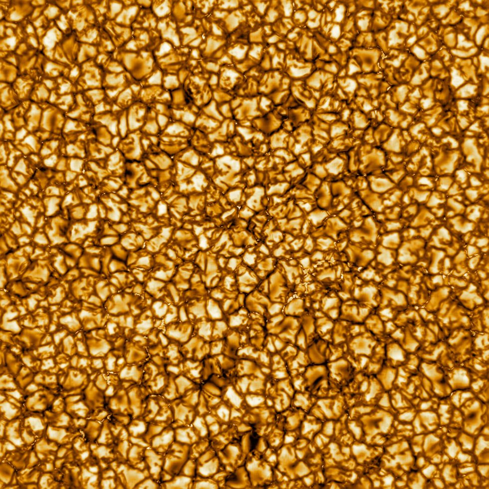 Full-Image-medium-scaled-980x980.jpg