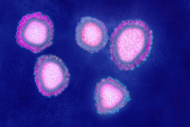 A purple background with 5 large, round, pink viral particles, each surrounded by a corona