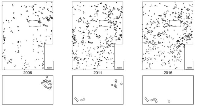 Distribution of shade trees with nests of Azteca ants over a 10-year period.