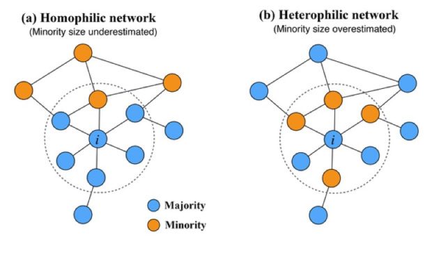 Perception bias in hemophilic and heterophilic networks.