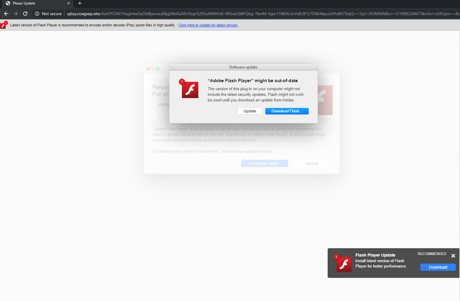 best adobe flash player for mac?