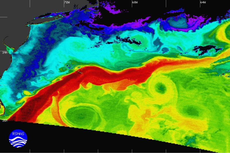 The warm waters of the gulf stream as they pass the US East Coast.