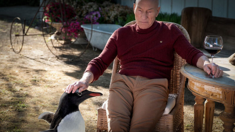 A retouched screenshot from Picard portrays Jean-Luc Picard petting a penguin.