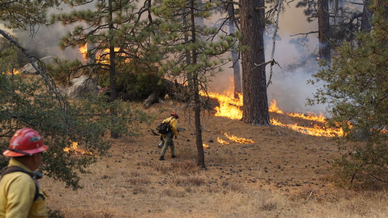 prescribed_burn_san_bernadino-800x450.jp