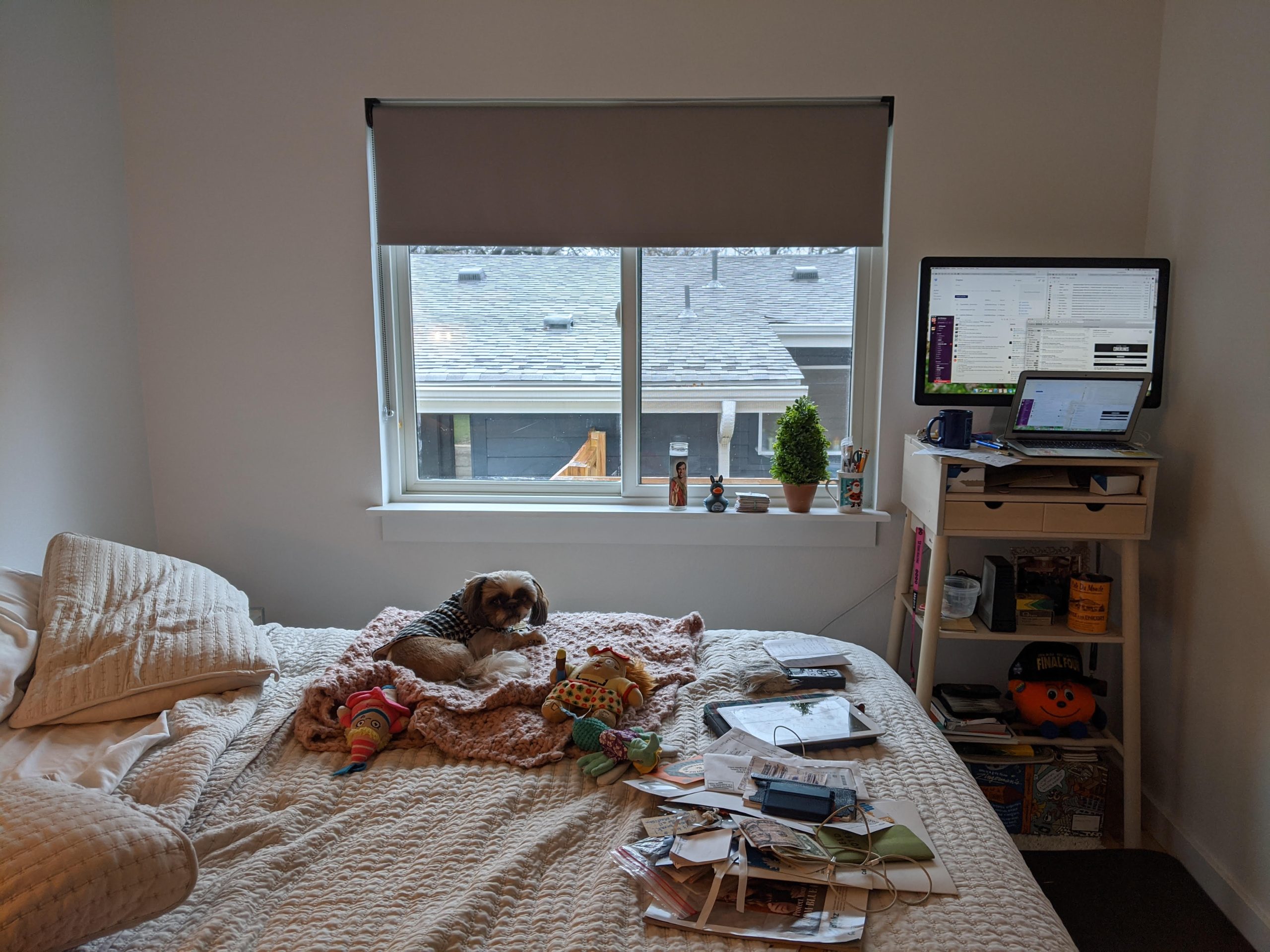 A photo of a home office and also a doggo.
