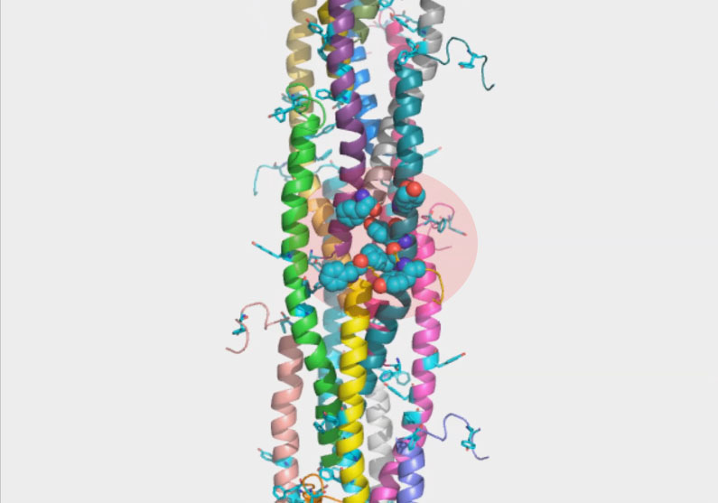 image of long strands of tight spirals in various colors.