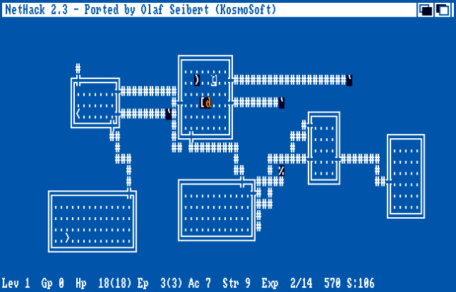 NetHack: