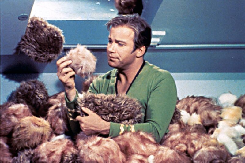 Captain James T. Kirk (William Shatner) is buried in adorable fluff balls in the classic 1967 episode, "The Trouble with Tribbles," on <em>Star Trek: TOS</em>.
