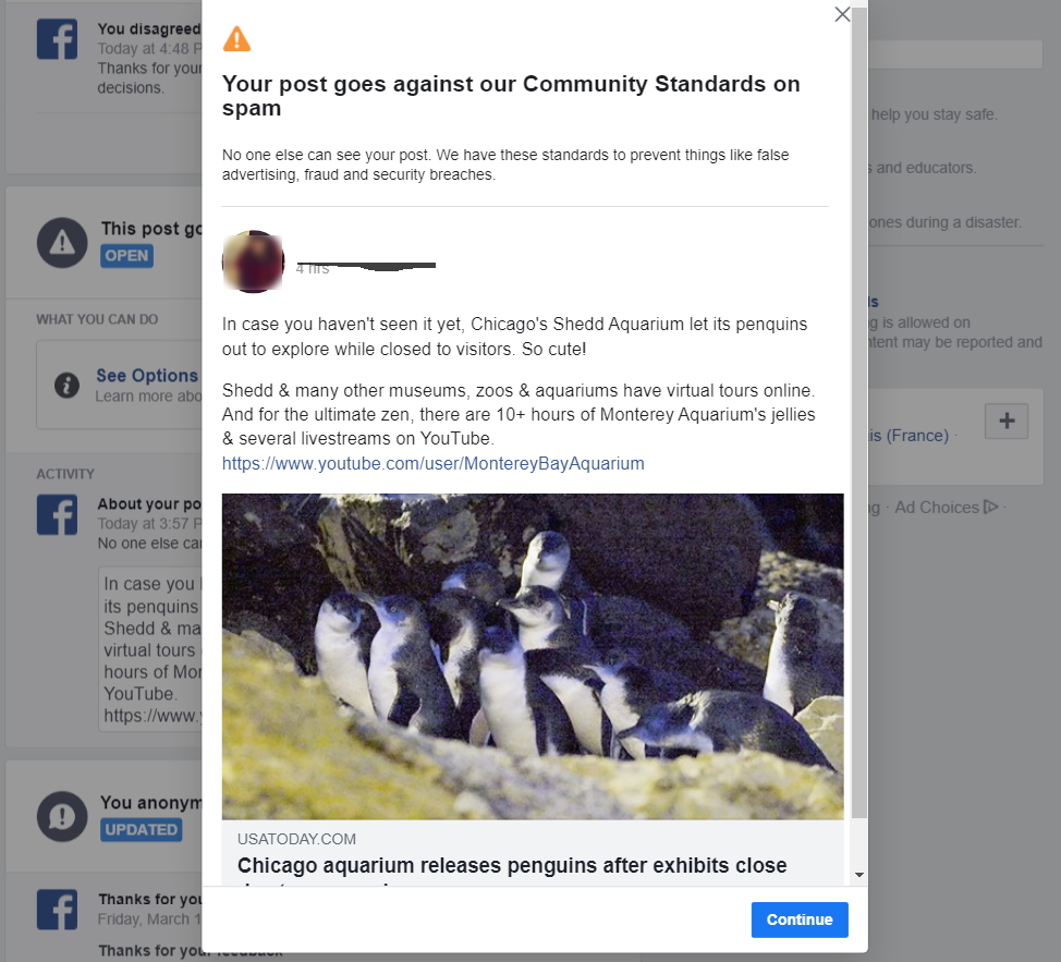 A YouTube video of penguins going free in a Chicago-area aquarium, flagged and taken down by Facebook.