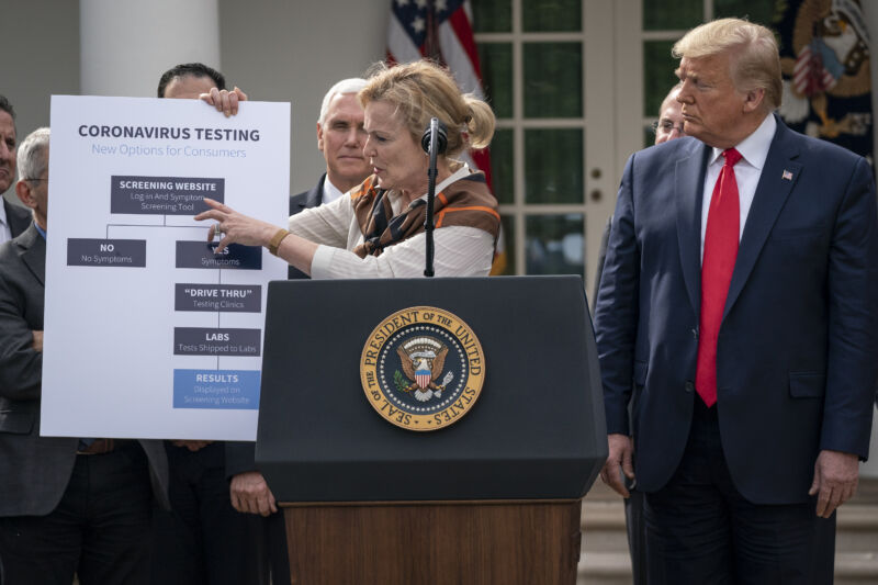 Dr. Deborah Birx points to a block labeled "Screening Website," showing its centrality to the plan for coronavirus testing. It later emerged that the website isn't even ready for local testing.