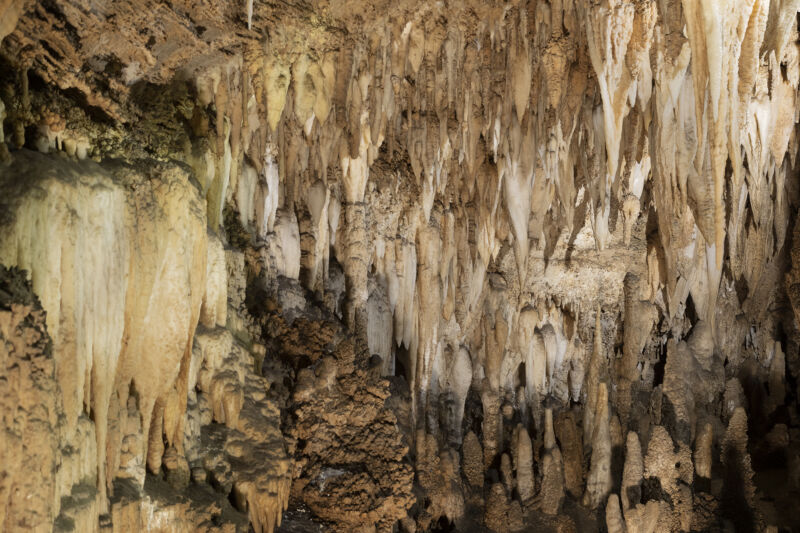 A mass of stalactites in Italy's Corchia Cave, where the new record comes from.