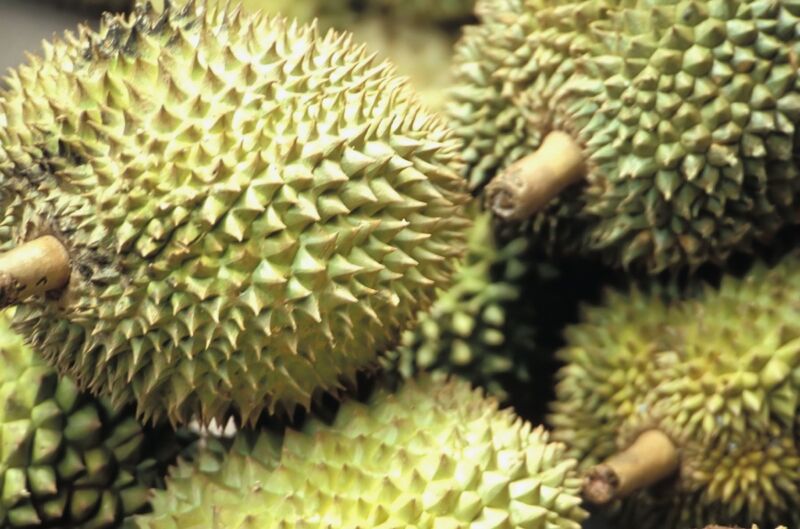 Study Building A Better Super Capacitor Out Of Super Stinky Durian Fruit Ars Technica