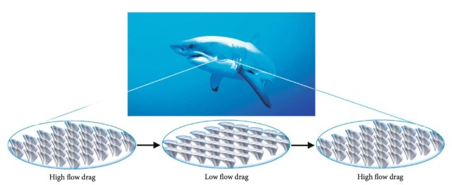 Shark skin-inspired design principle for acoustic materials that can be reconfigured by applying magnetic fields.