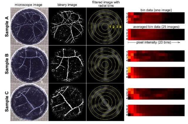 Analysis of microscope images of web patterns from American whiskey samples.