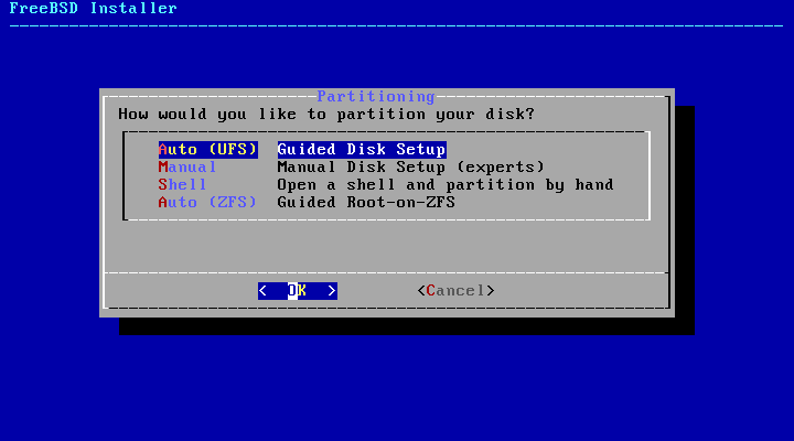 06-install-first-steps-disk-choices.png