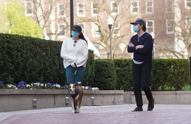 Image of two people walking a dog wearing face protection.