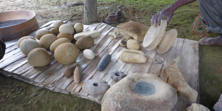 photo of New Guinea villagers unearth evidence of the island’s Neolithic past image