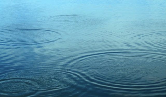 Ripples on a pond. Note the thickness of the ring of waves. 