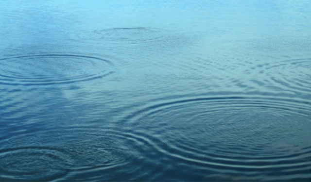 Ripples on a pond. Note the thickness of the wave ring.