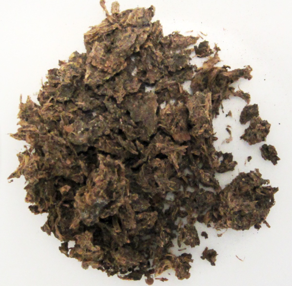 feces8.jpg