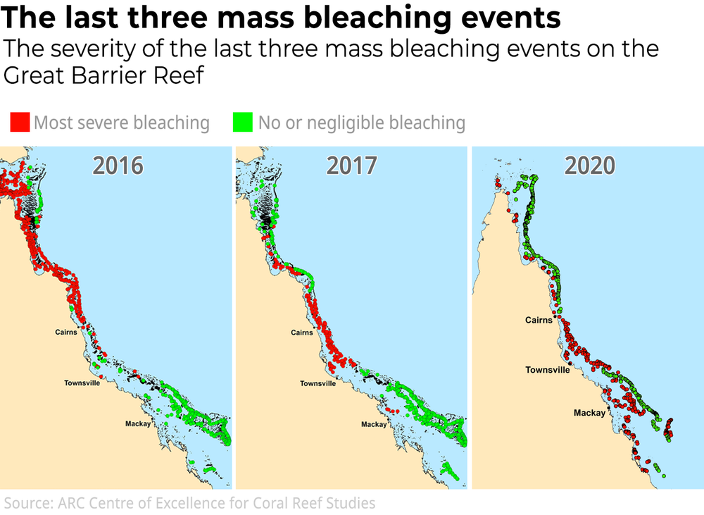 coral reef bleaching map
