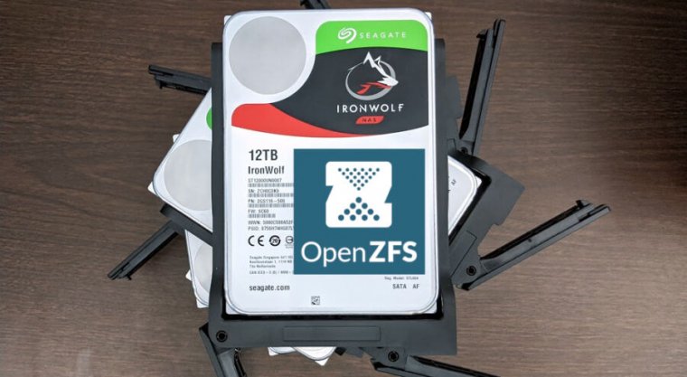No, you can't actually buy Ironwolf disks with an OpenZFS logo on them—but since they're guaranteed SMR-free, they are a solid choice.