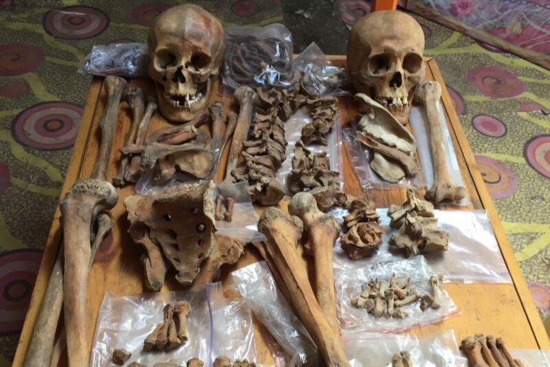 Skeletal remains from  a husband/wife burial (wife is on the left). Airagiin Gozgor site, Orkhon Province, Mongolia.