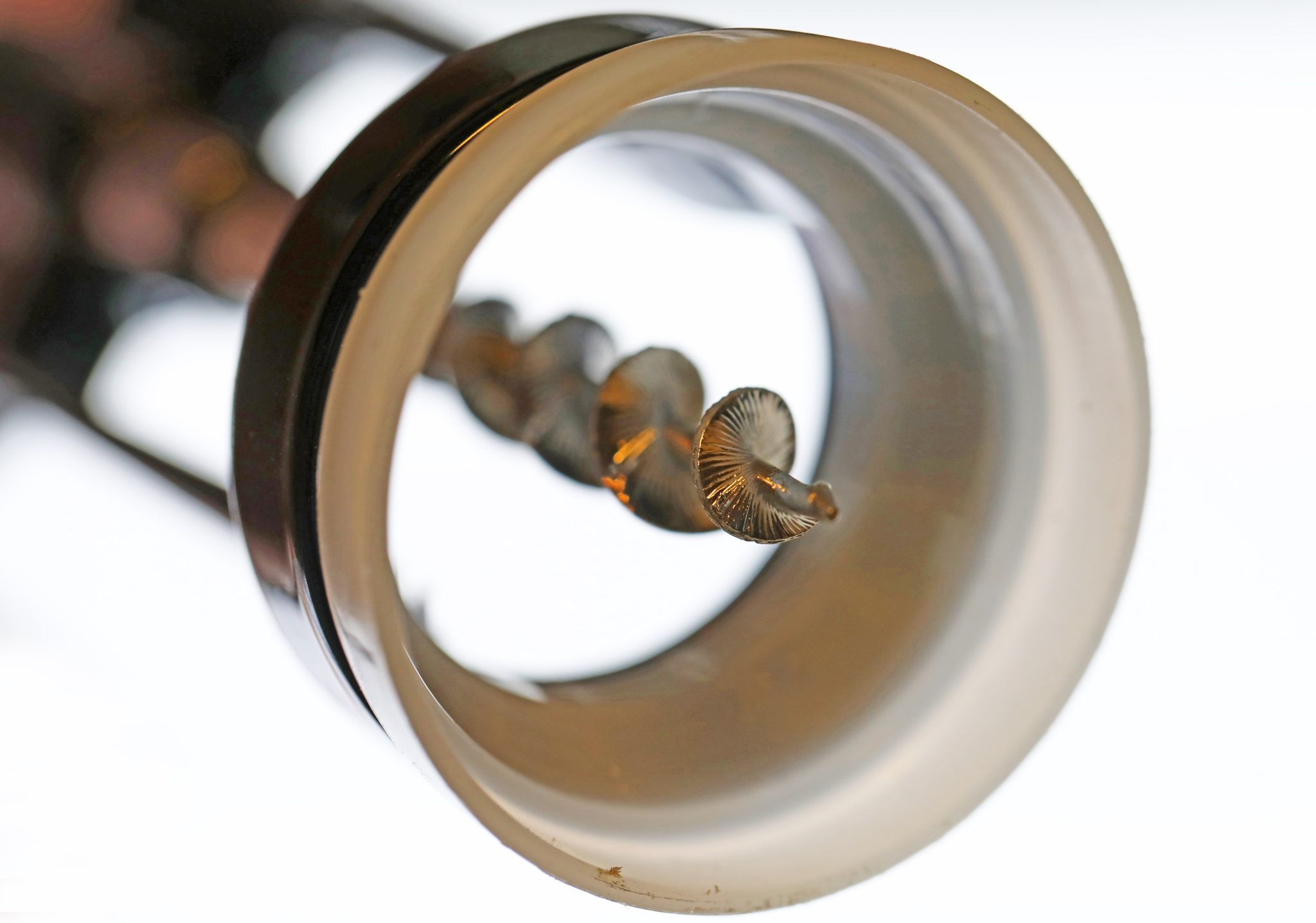 Corkscrew light promises higher optical-communication data rates - Ars ...