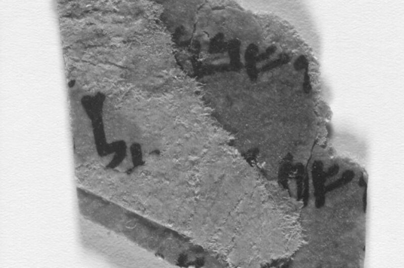 Multispectral imaging has revealed hidden text on four Dead Sea Scroll fragments previously believed to be blank.