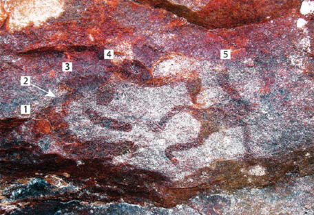 Rare miniature rock paintings found in Australia