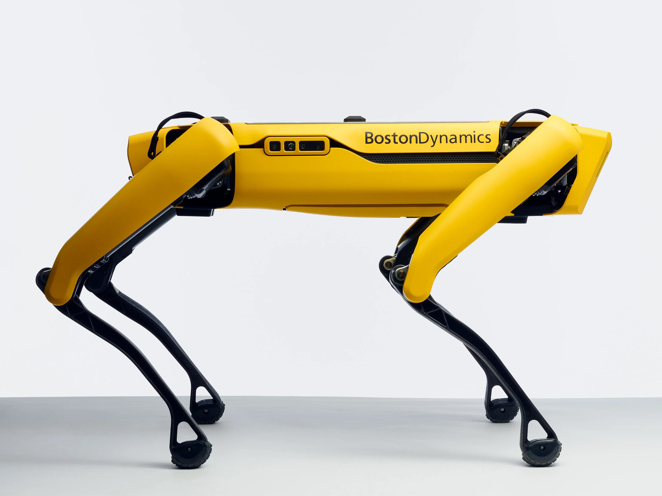 Boston dynamics orders spotmini cost