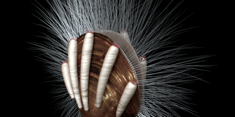 Incredible fossil find is the oldest known parasite - Ars Technica thumbnail