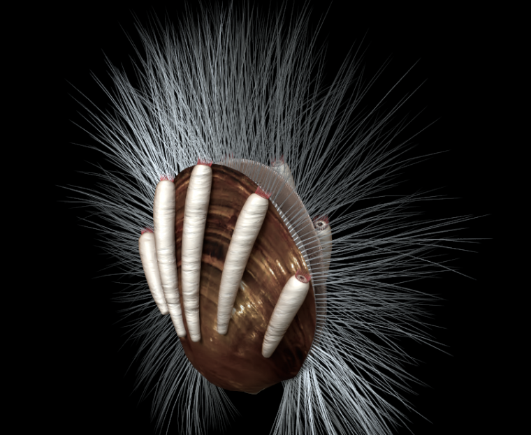 Artist's depiction of what this brachiopod—and its parasites—would have looked like.
