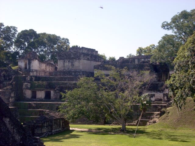 The central Acropolis of Tikal, seen here on the other side of the city's Great Square, is said to have emptied into the palace reservoir.