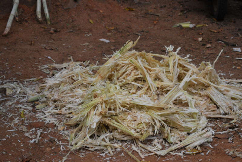 Squeeze the magical juice from some sugarcane, and this is what's left.