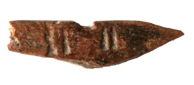 Conservation Africa News - We don't know yet whether the grooves on this arrowhead were an owner's mark or a way of holding poison.