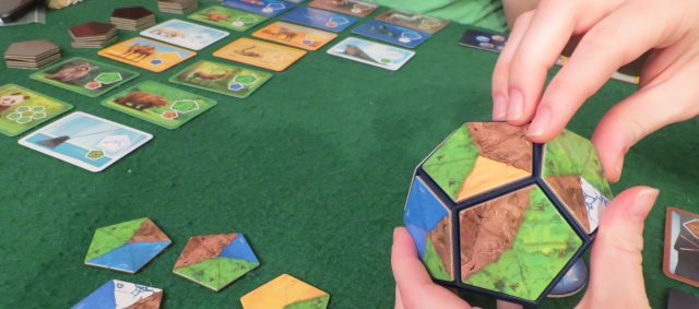 <em>Planet</em> is a nature-themed board game that isn't too complex for younger or less experienced players.