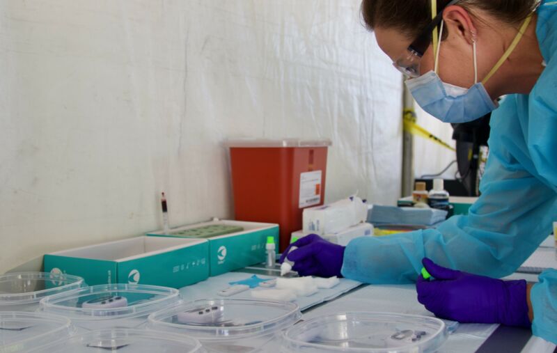 Image of a person processing biological samples.