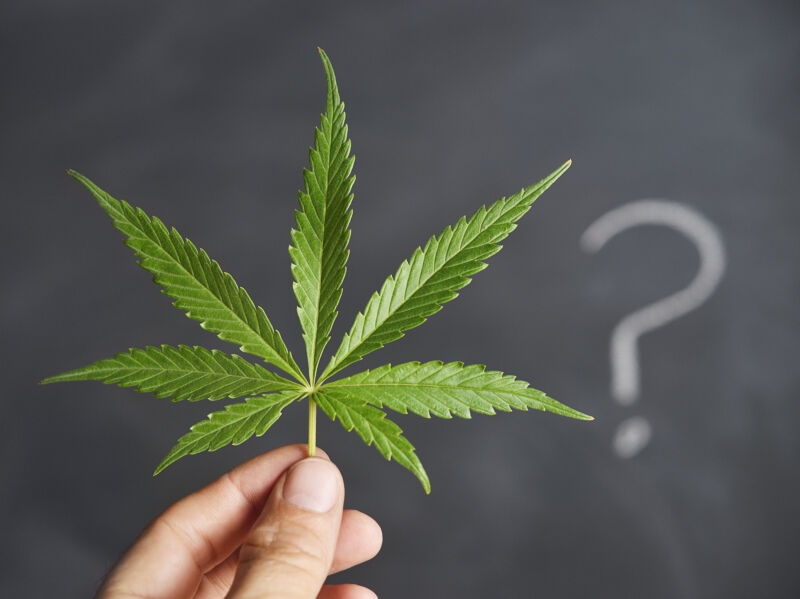 Ask Ars: Should you stop using the word “marijuana”?