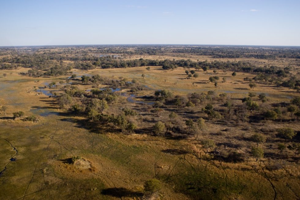 habitat1-980x653.jpg