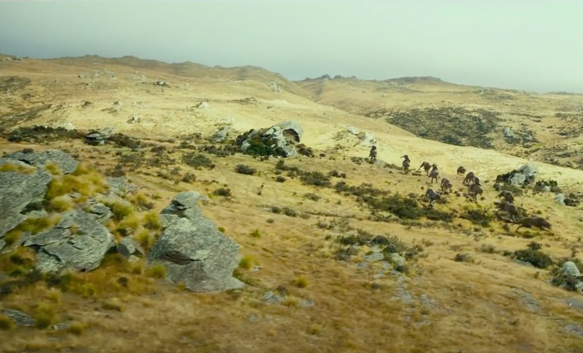 How the geometry of ancient habitats may have influenced human brain