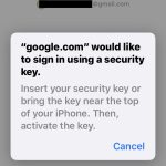 Once you see this screen, tap an NFC key on the top back of your iPhone or insert a key into the Lightning port.