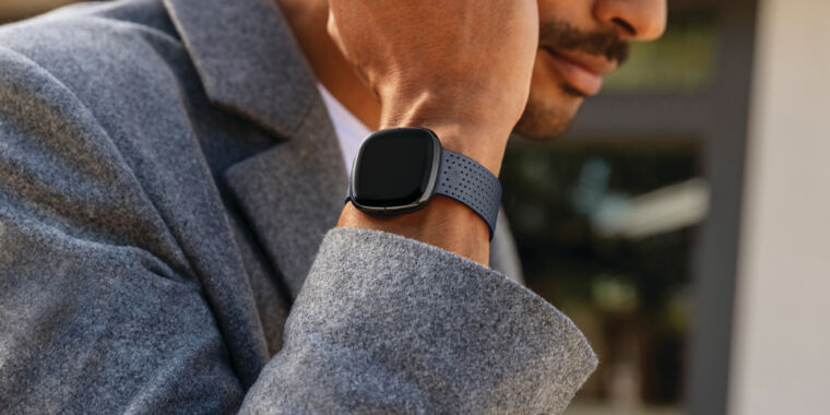 fitbit releases 2020