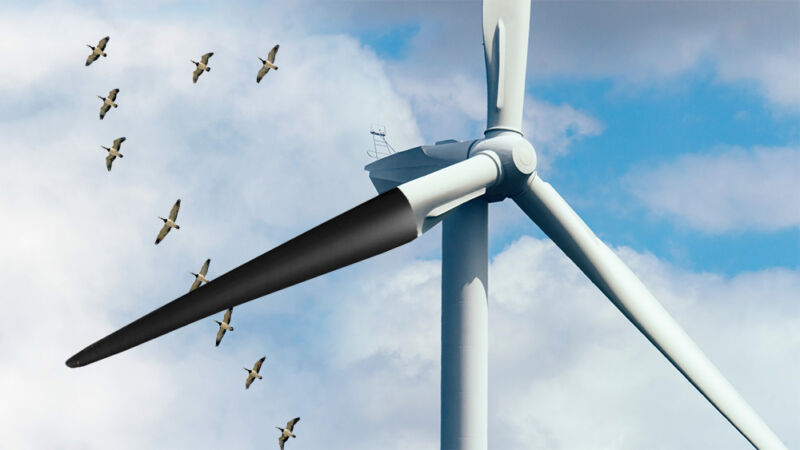 Wind turbines kill too many birds and bats. How can we…