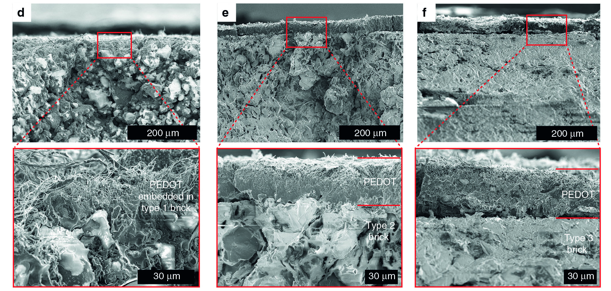 Scanning electron microscope image showing the fibrous PEDOT layer on the surface of three different bricks with varying porosity. 